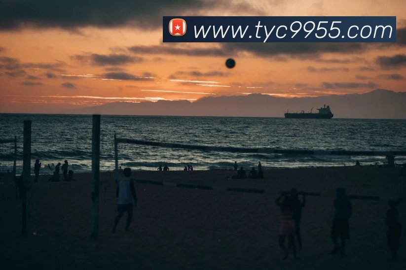 太阳城娱乐平台平台生态图