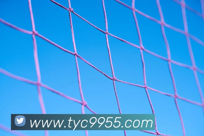 太阳城娱乐平台全站App